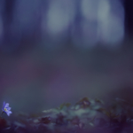 Last light