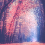 Warm autumn coldness